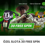 ÖZEL SLOTA 30 FREE SPİN